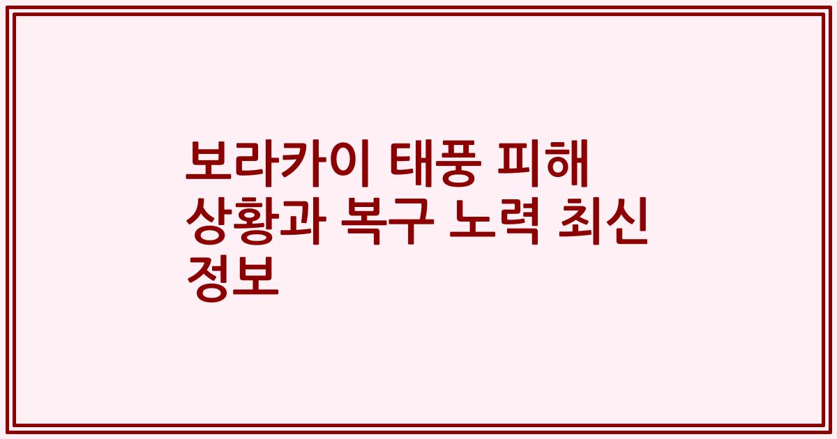 보라카이 태풍 피해 상황과 복구 노력 최신 정보